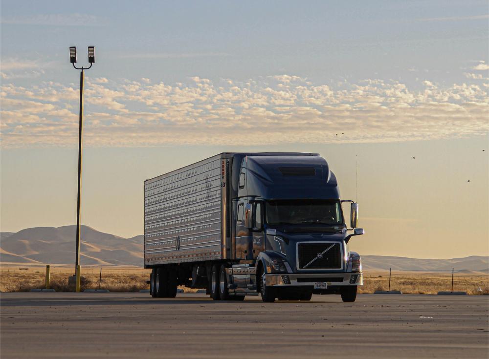 Blue truck parked under clear sky